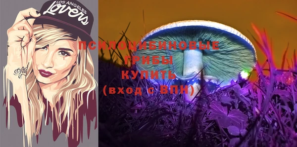 MDMA Гусев